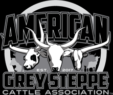 American Grey Steppe - Homepage